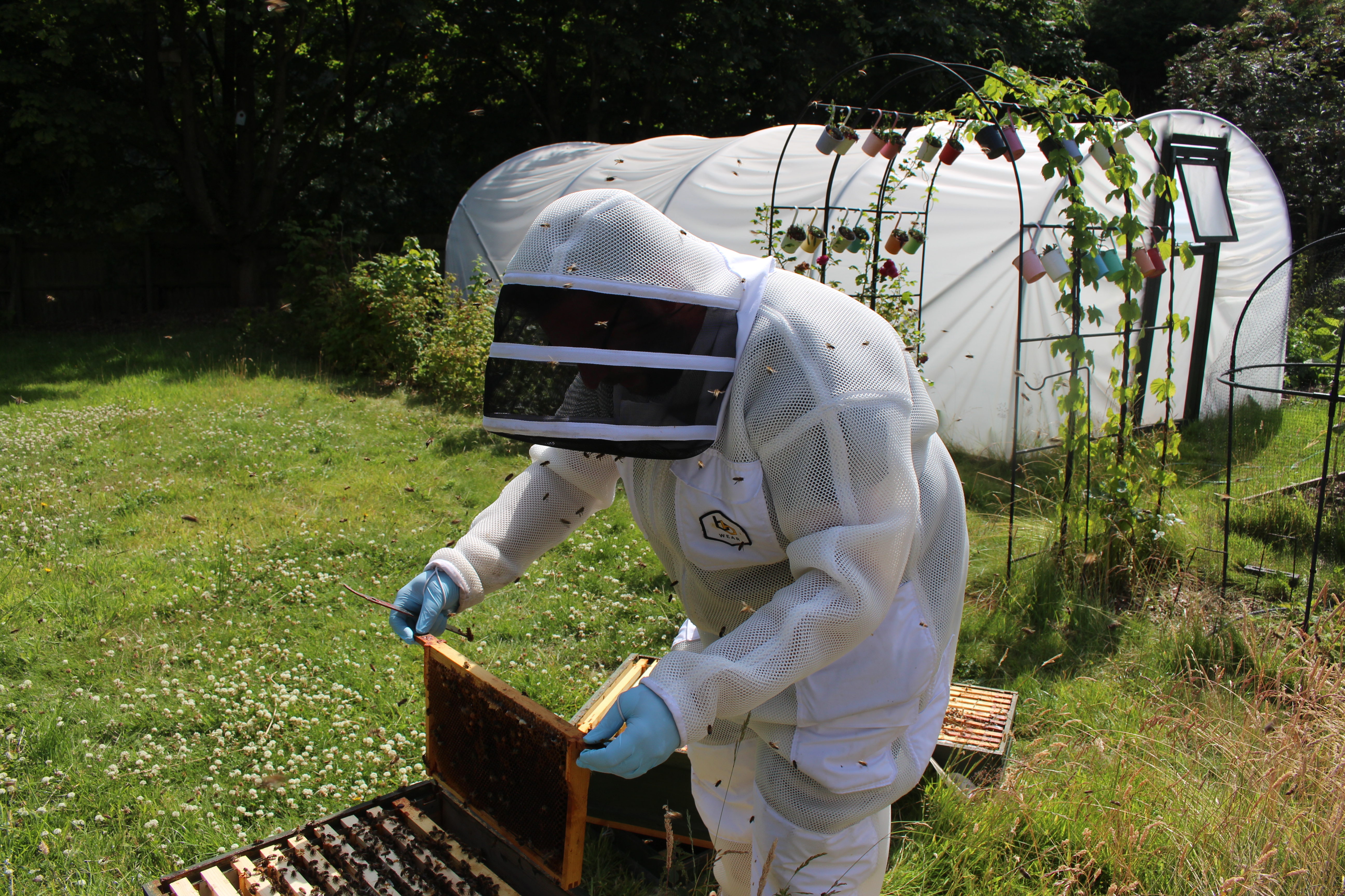 When "The Best" isn't good enough